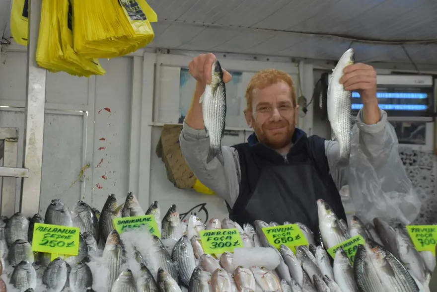 Balıkçılar limana erken döndü: Av sezonuna iklim değişikliği etkisi 2 Balıkçılar limana erken döndü: Av sezonuna iklim değişikliği etkisi 2