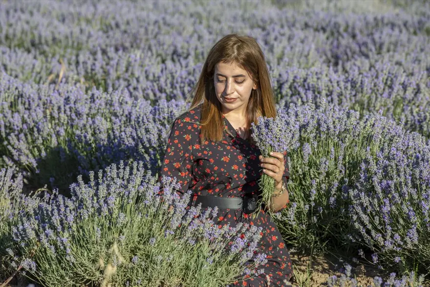 Diyarbakır'ın yeni cazibe merkezi: Lavanta bahçeleri 17