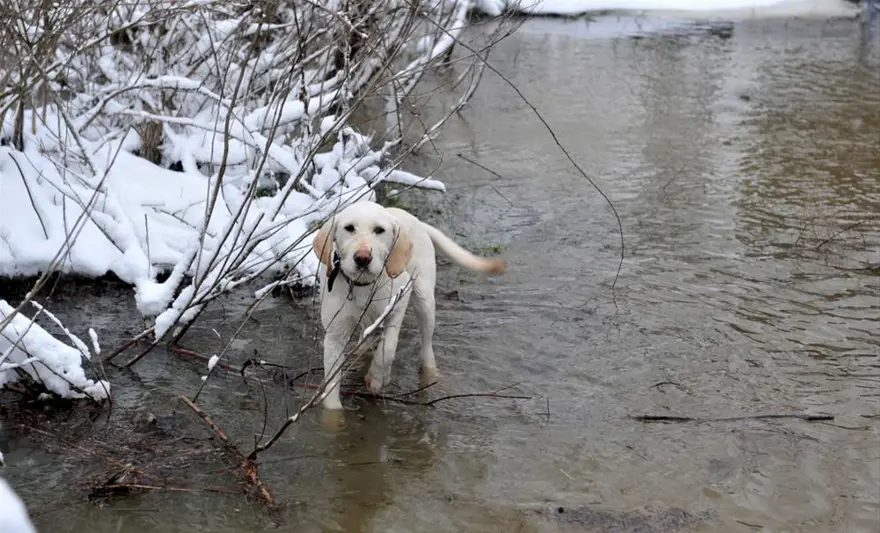 İstanbul'da kar yüzünü gösterdi 24