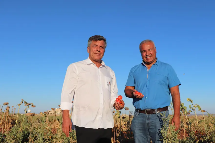 Avrupa'daki çocukları dönsün diye köye havuzlu villa yaptırdı 7