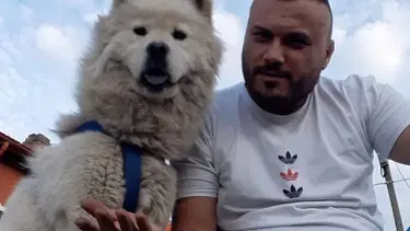 Kimliği belirsiz kişiler bahçedeki köpeği öldürdü