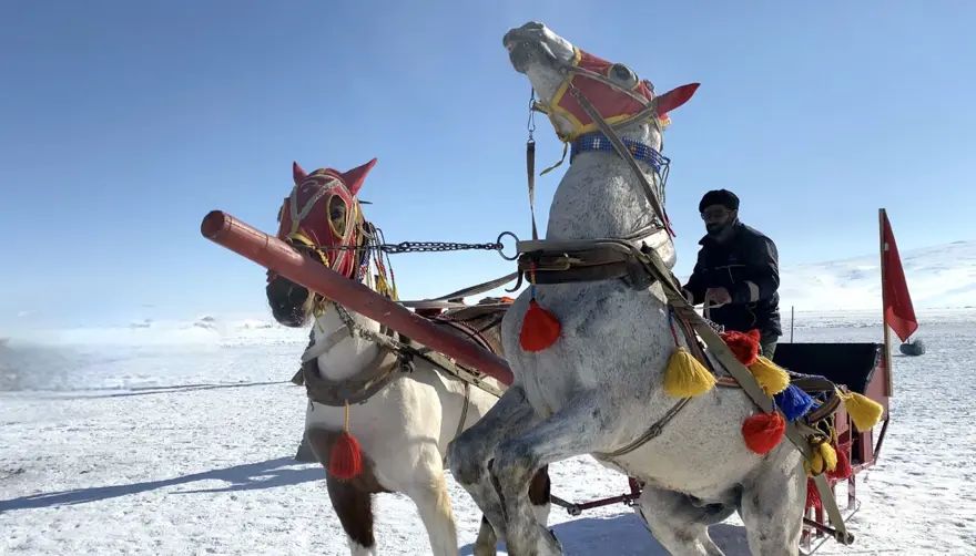 Buzla kaplı Çıldır Gölü'nde atlı kızakla gezinti keyfi 6