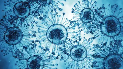 Covid vakaları fırladı: "Süper bulaşıcı Frankenstein varyantı"