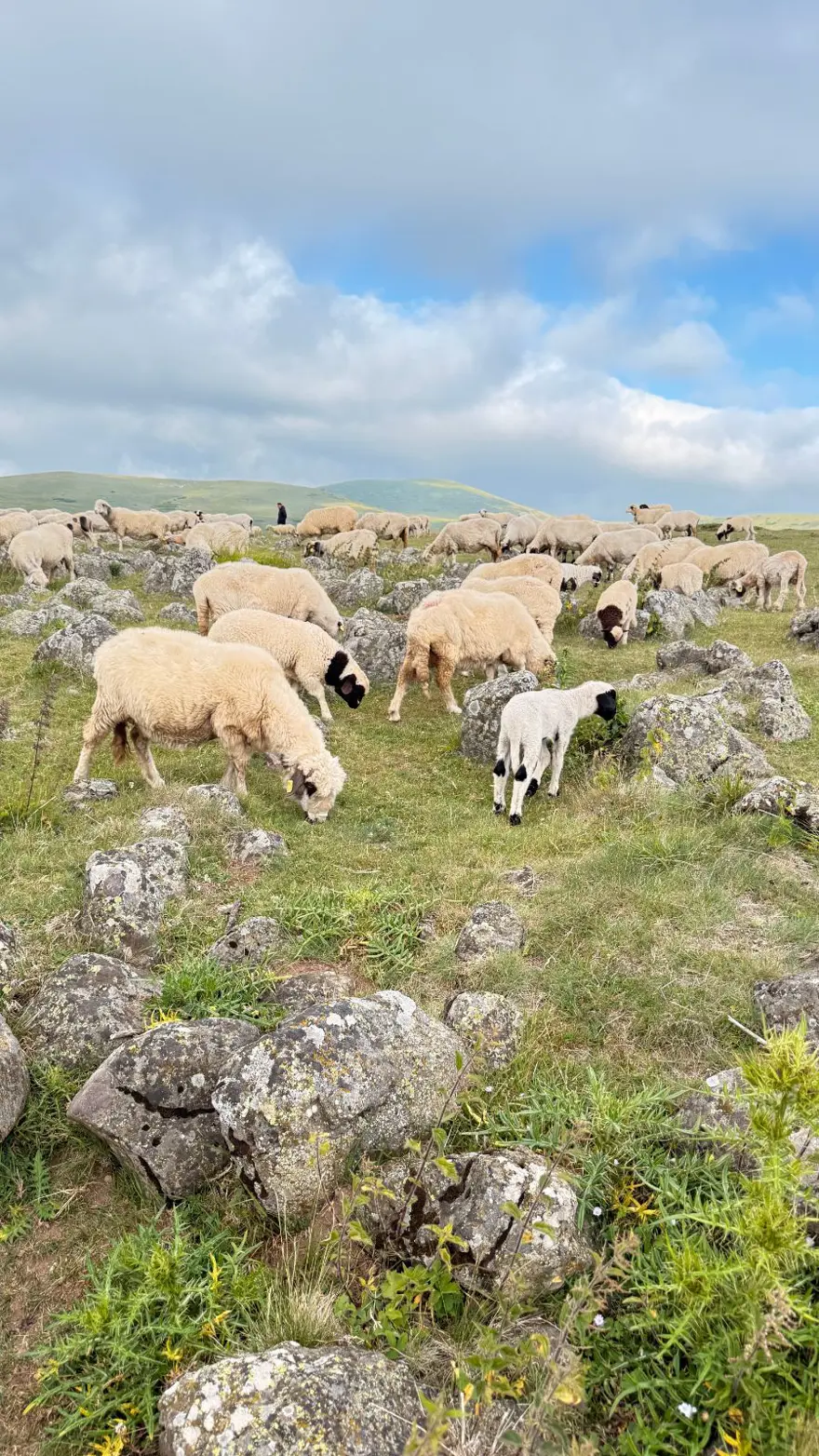 Tuz taşı olarak keçilere yalatılıyordu: Türk beyliklerinin savaş alanındaki mezar taşlarıymış 4