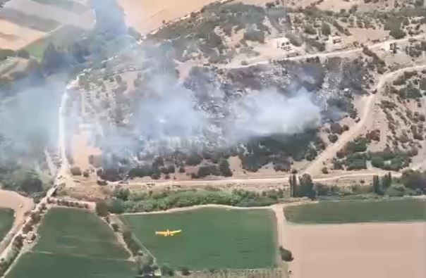 Milas'taki yangın kontrol altında