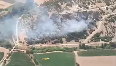 Milas'taki yangın kontrol altında