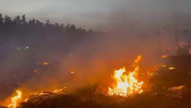 Denizli'de orman yangını