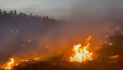 Denizli'de orman yangını