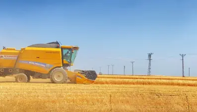 1 ay boyunca devam edecek: Kızgın güneşin altında yoğun mesai
