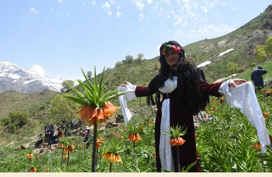 ters lale,sümbül dağı, hakkari ters lale, sütçüler tepesi, cilo doğa sporları kulübü 9