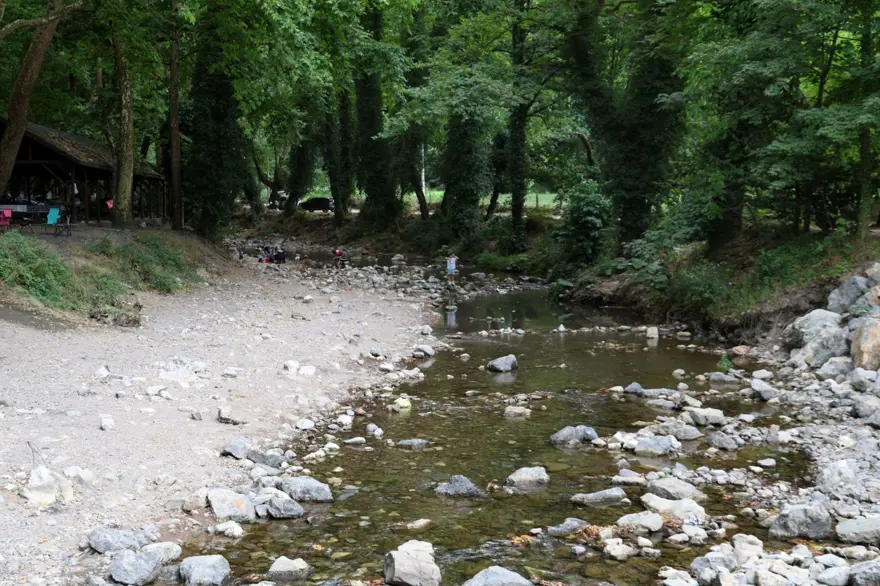 Sakarya’da korkutan manzara: Doğaseverlerin gözdesi kurudu 