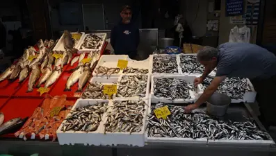 Tezgahta bolluk var: İstavrit yerini ona bıraktı, kilosu 150 lira