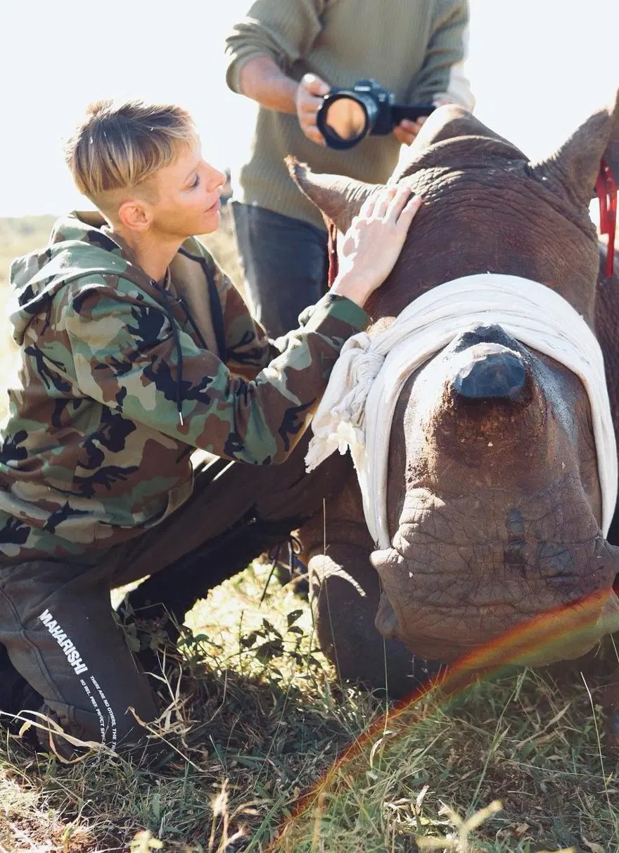 Prenses Charlene gergedanlar için Güney Afrika'da 3