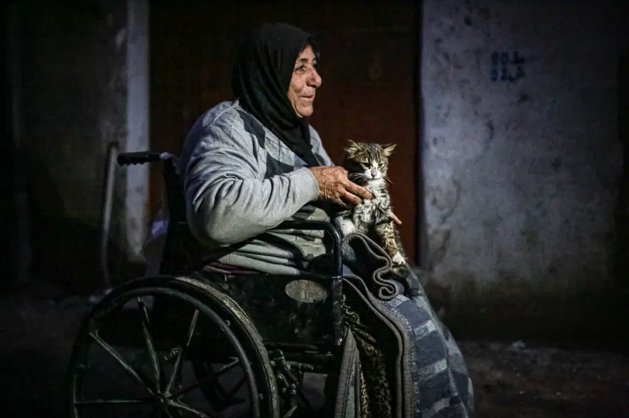 İdlib'de savaş mağduru kadın kedilerinden vazgeçmiyor 8 İdlib'de savaş mağduru kadın kedilerinden vazgeçmiyor 8