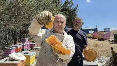 Bursa'da üretilen bu bal her derde deva: ''Şeker hastaları da yiyebiliyor''