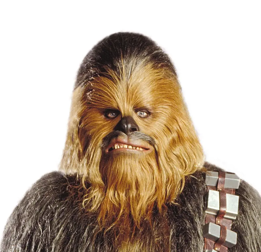 Chewbacca 24 Chewbacca 24