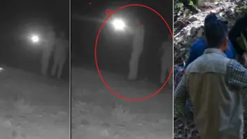 Bozayıyı öldüren şüpheliler fotokapanla tespit edildi