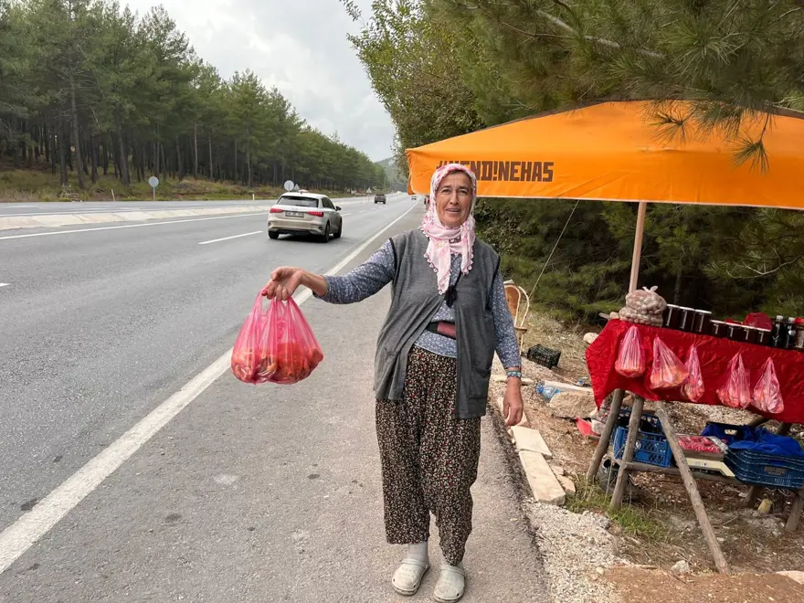 Yol kenarından topladılar şimdi tezgahta: Bir kilosu 600 lira 