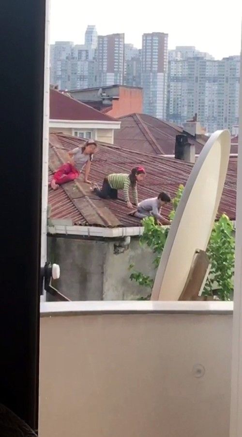 Çatıda dut toplayan çocuklar yürekleri ağızlara getirdi