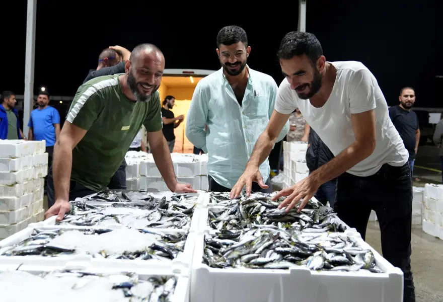 Balıkçıların palamut mutluluğu 