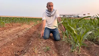 İki tohum arasındaki büyüme farkı çiftçiyi kızdırdı: ''Ruh sağlığım bozuldu''