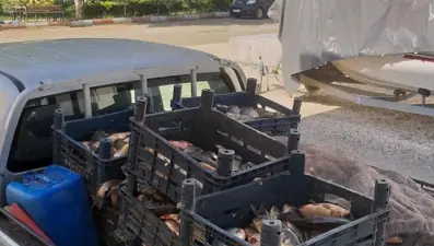 Kaçak avlanan 700 kilogram balık ele geçirildi