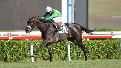 93. Gazi Koşusu'nun kazananı The Last Romance