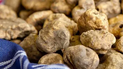 Dünyanın en pahalı besini: Kralların yiyeceği olarak da biliniyor, hem kalbi koruyor hem kansere savaş açıyor