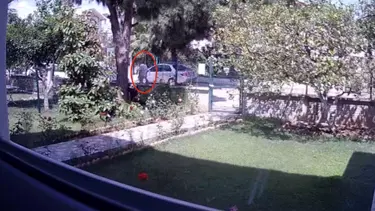 "Öğrencinin üzerine araç sürüp, kesici aletle kovaladı" iddiası: Müdür yardımcısı açığa alındı