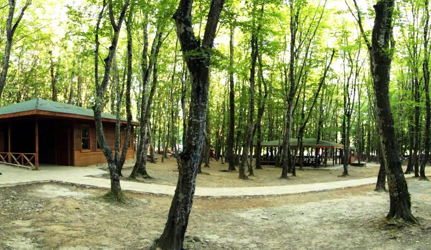 istanbul'un tabiat parkları, istanbul'daki tabiat parkları, istanbul mesire alanları, istanbul'de ailece nereye gidilir, istanbul ormanları 10
