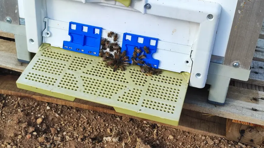 "TAVSİYELERLE SATIŞ YAPIYORUM" 3