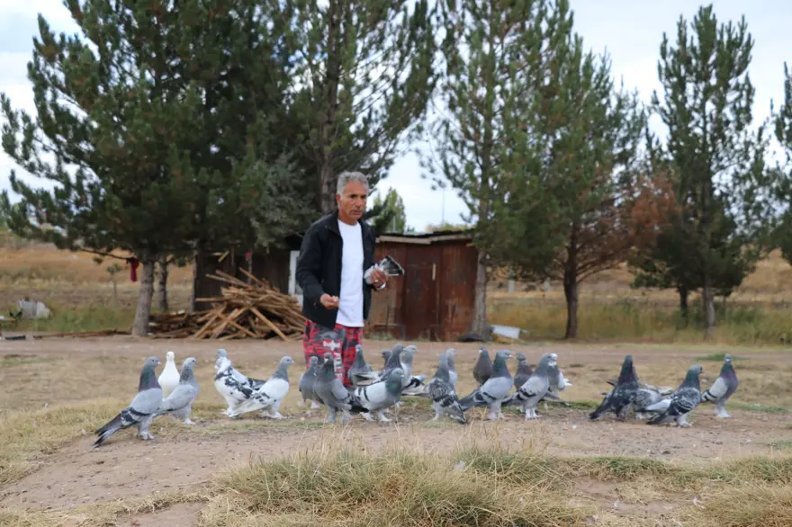 Değeri yarım milyondan fazla: Yurt dışından bile talep görüyor 7