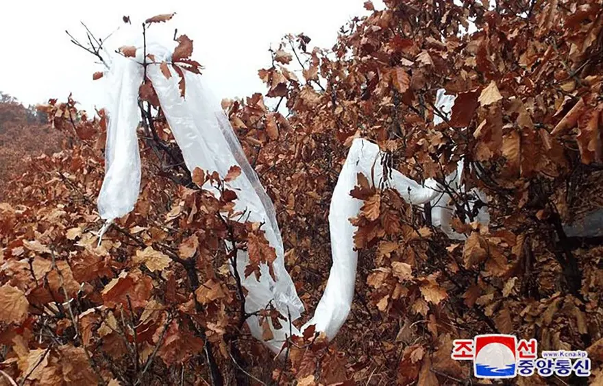 Kuzey Kore'nin kirli savaşı: Çöp balonları Güney Kore semalarında! 5