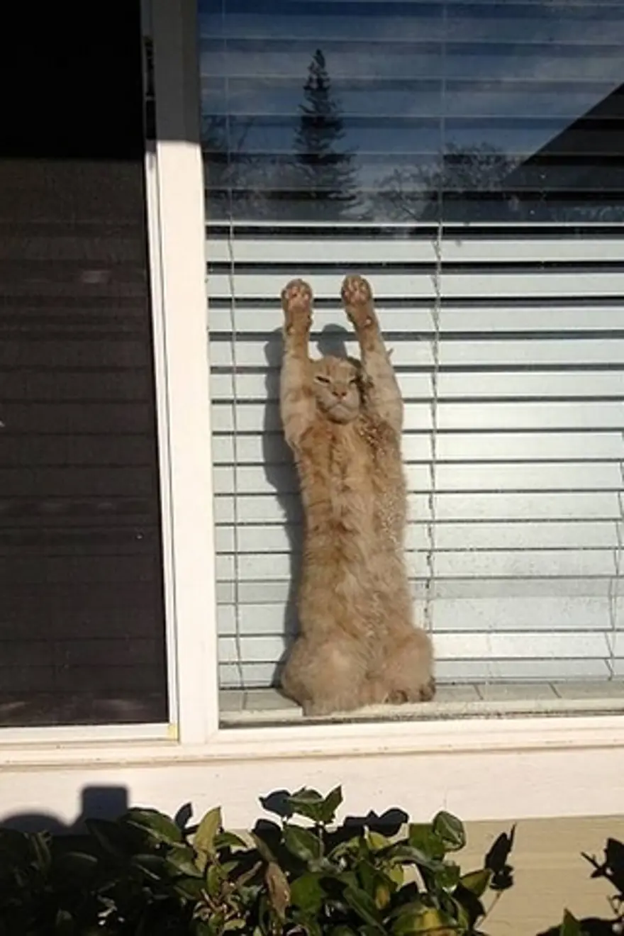 Poz verme sanatı 29