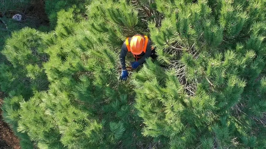 OGM 3 BİN 477 PERSONEL ALIMI SONUÇLARI NE ZAMAN AÇIKLANACAK? 1 OGM 3 BİN 477 PERSONEL ALIMI SONUÇLARI NE ZAMAN AÇIKLANACAK? 1