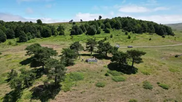 Tokat'ta asırlık durak: Yalnız Çam Türbesi'ne ziyaretçi akını