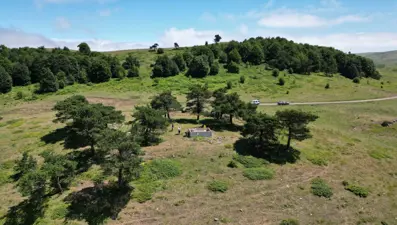Tokat'ta asırlık durak: Yalnız Çam Türbesi'ne ziyaretçi akını