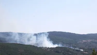 Muğla'da orman yangını: Havadan ve karadan müdahale