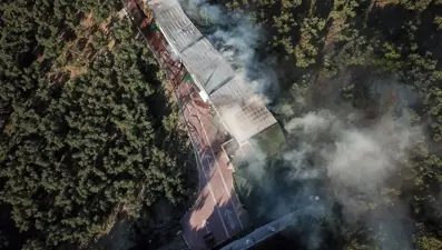 Bursa'da çiftlik yangını: Çok sayıda tavuk ve koyun telef oldu