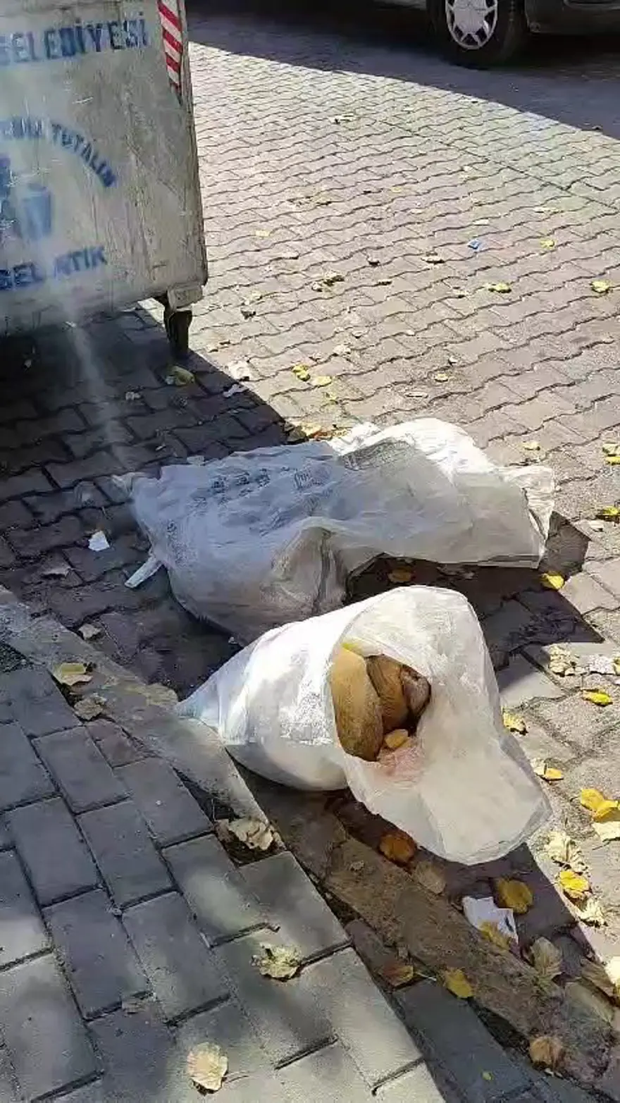 Avcılar'da çöpten çuval içinde ölü köpek yavruları çıktı 