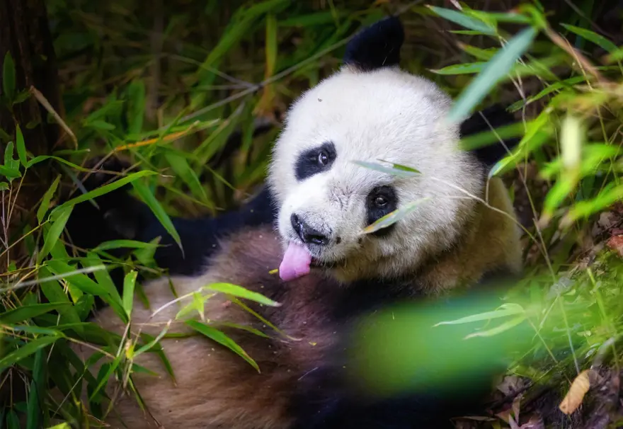 “Haydi! Yeşil Gelecekler” fotoğraf yarışmasının ödülleri açıklandı 36 “Haydi! Yeşil Gelecekler” fotoğraf yarışmasının ödülleri açıklandı 36