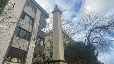 Apartmanların arasında tarihi eser! Sultan II. Mahmud'un mirası göz göre göre yok oluyor