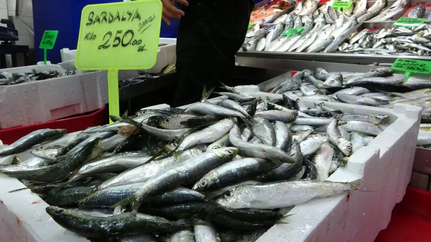 Denizlerin prensi 900 lira: Tezgaha indi, bu sene bol 3 Denizlerin prensi 900 lira: Tezgaha indi, bu sene bol 3