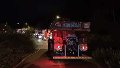 Beykoz'da ormanlık alanda yangın