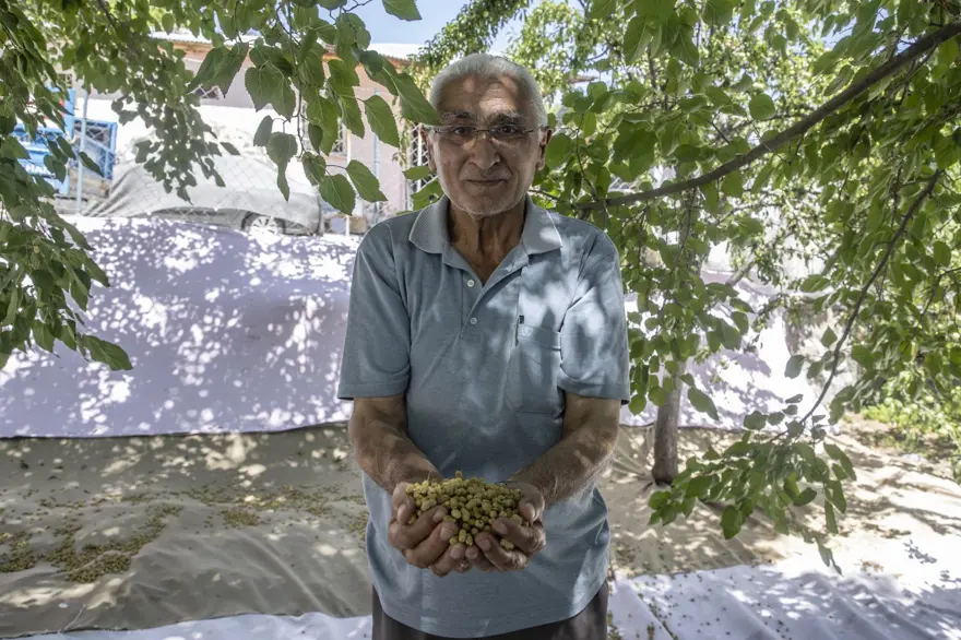 Coğrafi işaretli "Ulukale Dutu" geçim kaynağı oldu! Güneşin karşısında kurutuluyor, elekten geçirilerek hazırlanıyor 6