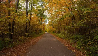 DMM'den "Belgrad Ormanı imara açılıyor" iddiasına yalanlama