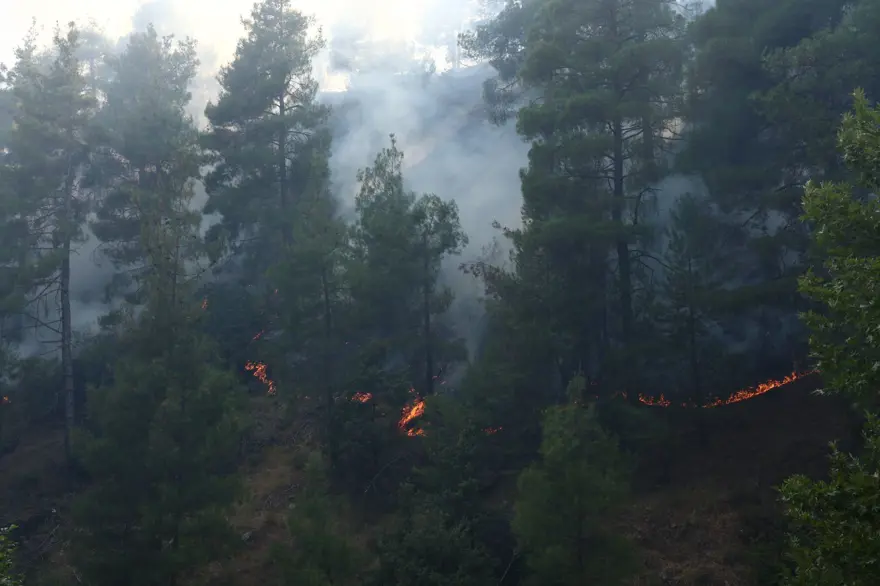 Kahramanmaraş'ta orman yangını 4