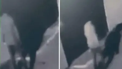 Türk bayrağını yaktı! 3 yıla kadar hapsi istendi