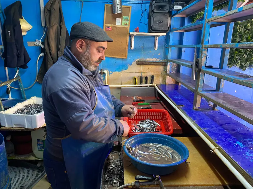 Satışlar yoğunlaştı, av yasağı tezgahlara yansıyacak: "Bu süreçte balık fiyatları artacak" 4