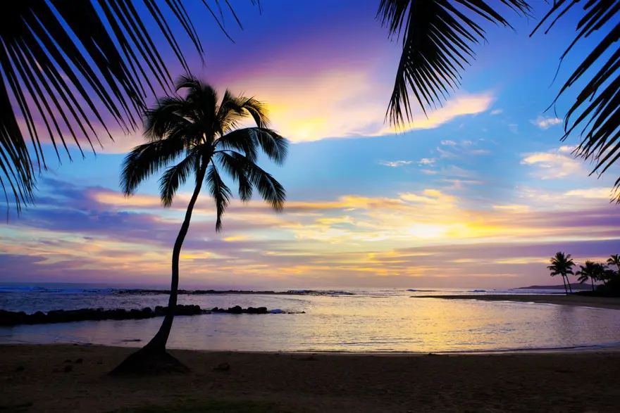 Turizm cenneti Hawaii corona virüs kısıtlamalarını kaldırıyor 7